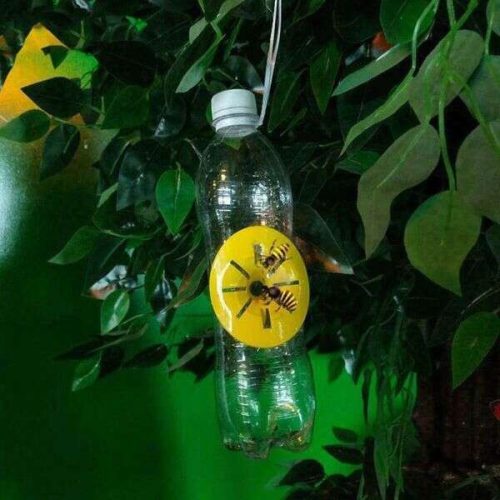 Catchix	-	Kerti rovarcsapda