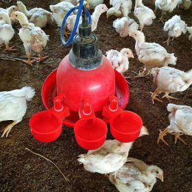   PoulCups	-	Készlet automatikus vízellátáshoz baromfi számára