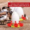 PoulCups	-	Készlet automatikus vízellátáshoz baromfi számára
