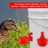 PoulCups	-	Készlet automatikus vízellátáshoz baromfi számára