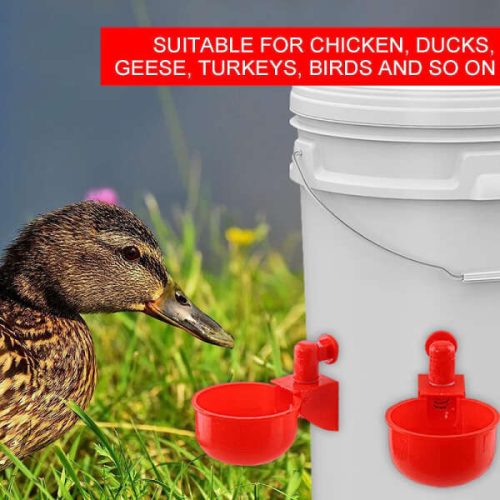 PoulCups	-	Készlet automatikus vízellátáshoz baromfi számára