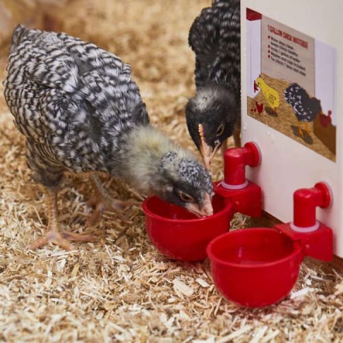PoulCups	-	Készlet automatikus vízellátáshoz baromfi számára