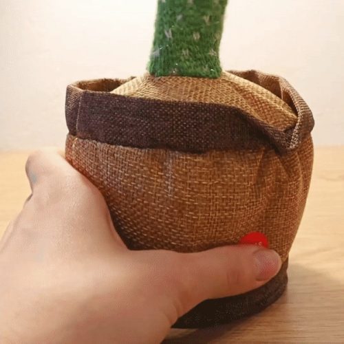 DanceCacti	-	Táncos játék
