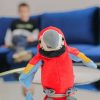 Parroty	-	A beszélő papagáj beszélő játék