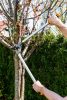 NEO TOOLS Ágvágó, rávágó, áttételes, 765mm, vágókap.: 40mm, alumínium nyél, teflon bevonat, 60% plusz erőátvitel 15-252