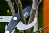 NEO TOOLS Ágvágó, mellévágó, áttételes, teleszkópos 665-965mm, vágókap.: 42mm, alu nyél, teflon, 40% plusz erőátvitel 15-253