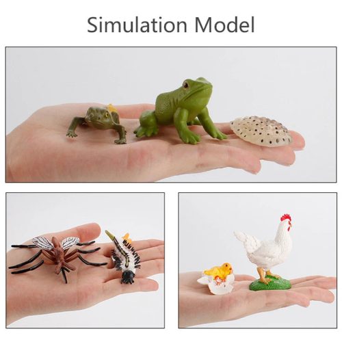 Életciklus Modell - oktató játék