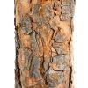 Christmas tree on a trunk - diamond pine 180cm