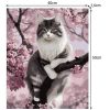 Painting by numbers 40x50cm- Maaleo cat 22783