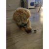 Christmas gift for dog - toys Purlov 22637