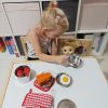 Színes és Biztonságos Gyermek Konyhai Játékkészlet - ZG23444