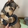 Dog toy set - 10 pcs Purlov 24388