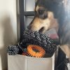 Dog toy set - 10 pcs Purlov 24388