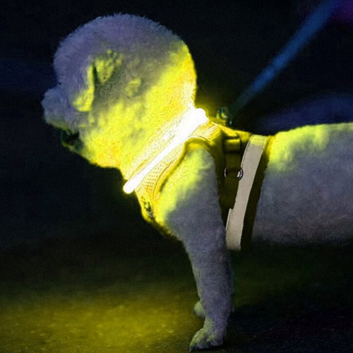 Purlov 24200 Állítható LED Fényű Nyakörv - Biztonságos és Stílusos Kiegészítő Kedvenceidnek