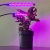 20 LED-es lámpa 2 darab növények számára Gardlov 19241 - növényvilágítás, LED növény lámpa, növény növekedés támogatása