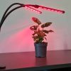 20 LED-es lámpa 2 darab növények számára Gardlov 19241 - növényvilágítás, LED növény lámpa, növény növekedés támogatása