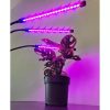 20 LED-es lámpa 3 darabhoz növények növekedéséhez Gardlov 19242