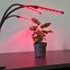 20 LED-es lámpa 3 darabhoz növények növekedéséhez Gardlov 19242