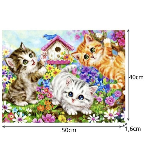 Számfestés 40x50cm - Macskák 22781